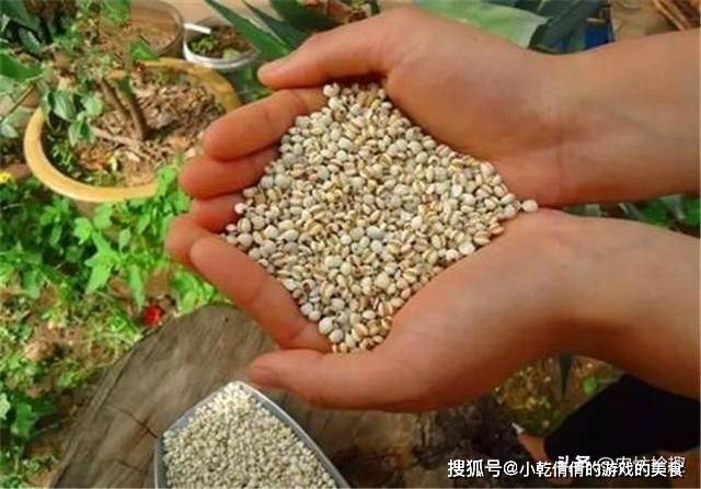 曾被当主食如今多地淘汰种植今年持续高价农民却不乐观了(图5)